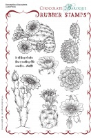 Scrumptious Succulents Rubber Stamp sheet - A5